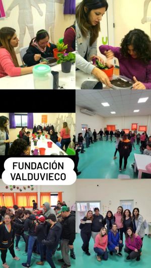 Fundacion Valduvieco
