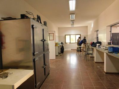 Comedor Universitario (14)