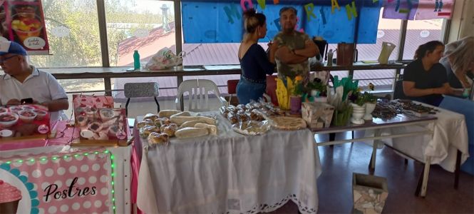 Feria Emprendedores (19)
