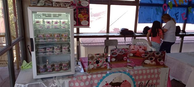Feria Emprendedores (20)