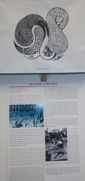 Muestra-gradado-10